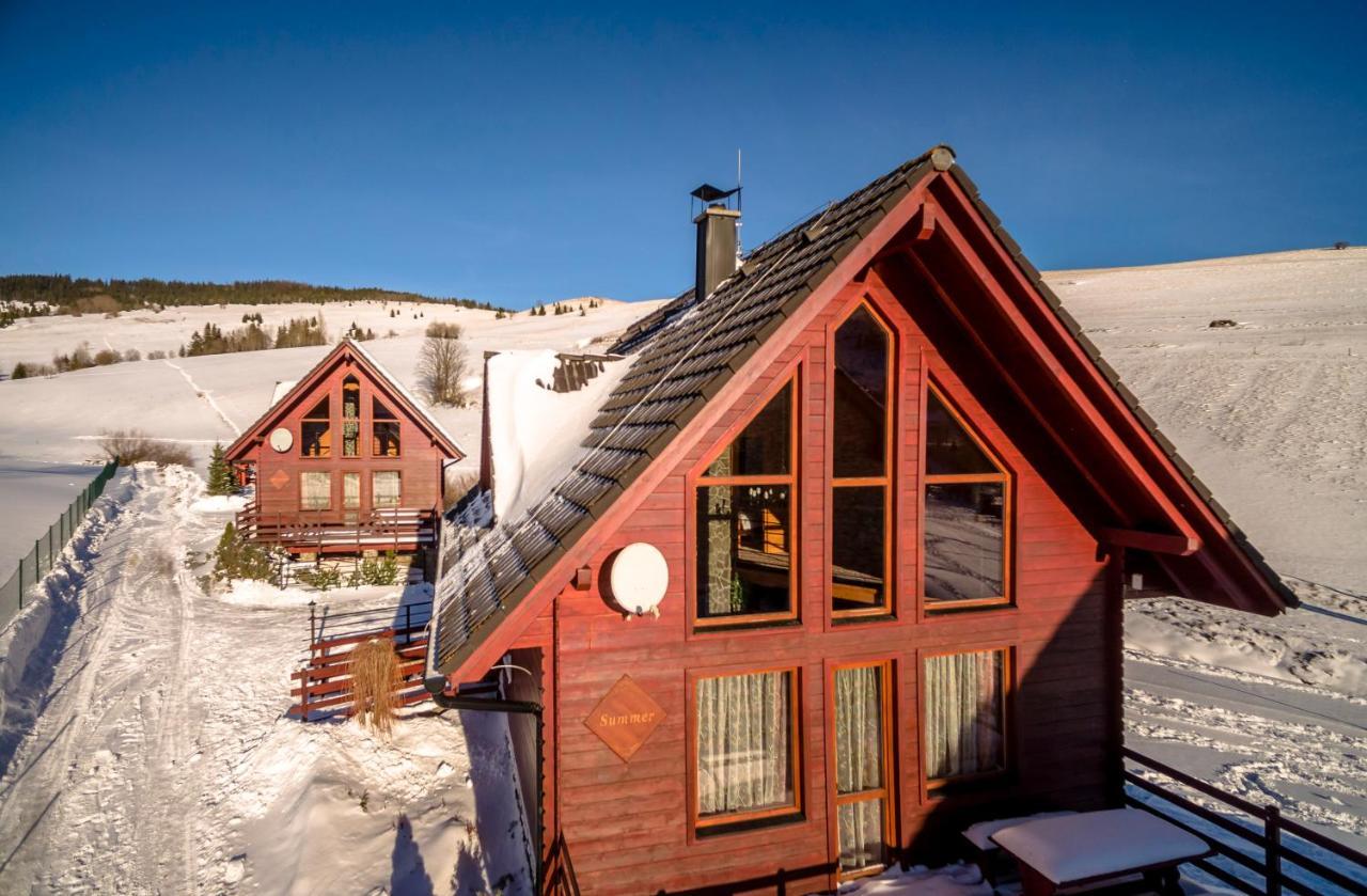 Winter & Summer - Chalets Zdiar Exterior photo