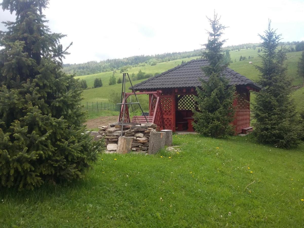 Winter & Summer - Chalets Zdiar Exterior photo